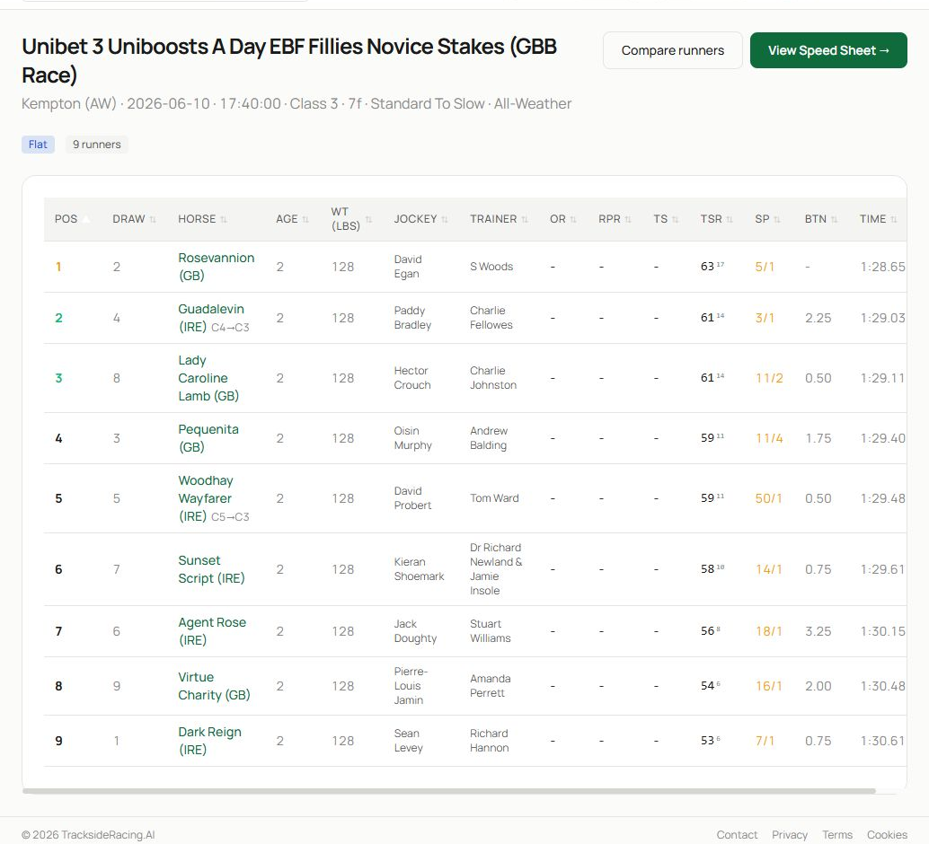A completed race detail page showing the race header, summary information and finishing order.